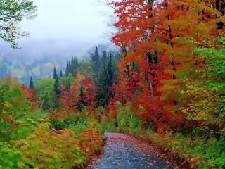 015-HANİ SÖZ VERMİŞTİK ALEMİ ERVAHTA ŞİİRİ16 MART 2017