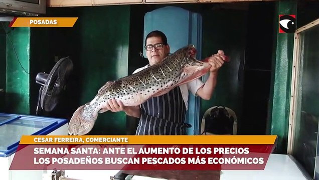 Semana Santa: ante el aumento de los precios los posadeños buscan pescados más económicos