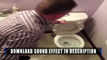 Put Down Toilet Seat | Sound Effect | COPYRIGHT - FREE