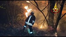 Vasto incendio nel Varesotto, brucia un'area boschiva