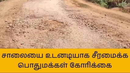 திருமயம்: சாலையை உடனடியாக சீரமைக்க பொதுமக்கள் கோரிக்கை!