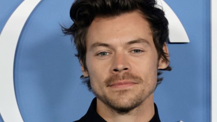 Harry Styles Didn't Actually Say Emily Ratajkowski Was His "Celebrity Crush" in an Unearthed Throwback Video