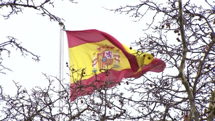 El Supremo anula el cese del coronel de la Guardia Civil Pérez de los Cobos