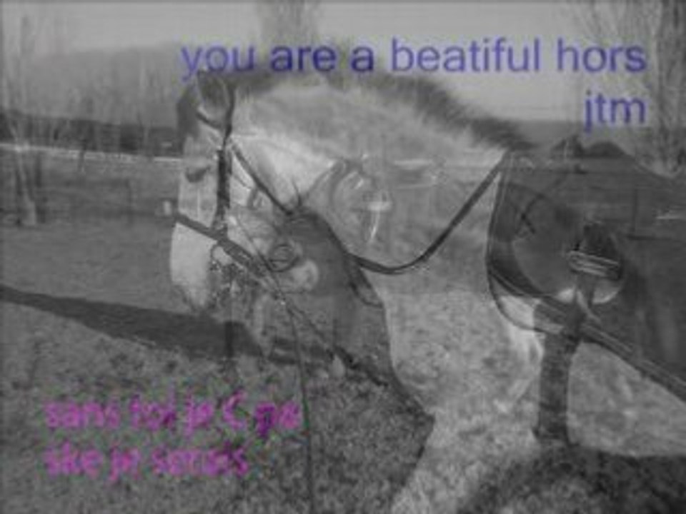 mon poney d'amour