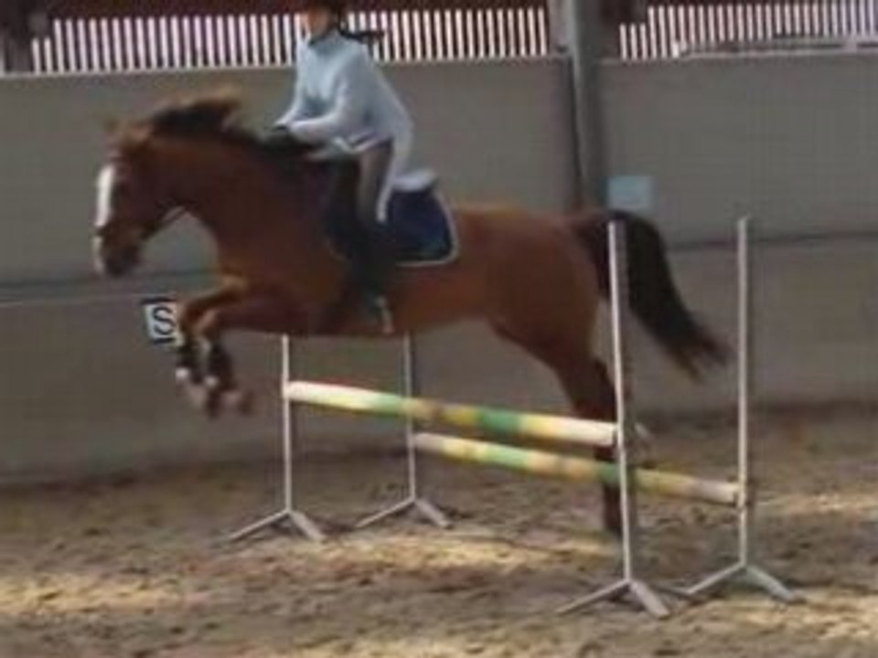 Séance d'obstacle sur oxer...