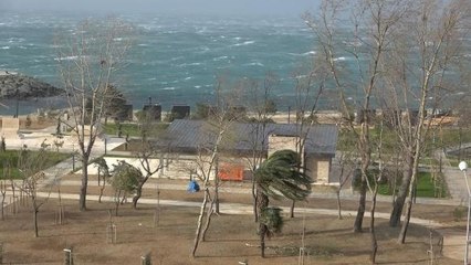 DOĞU KARADENİZ'DE FIRTINA ETKİSİ; ÇATI UÇTU, AĞAÇ DEVRİLDİ