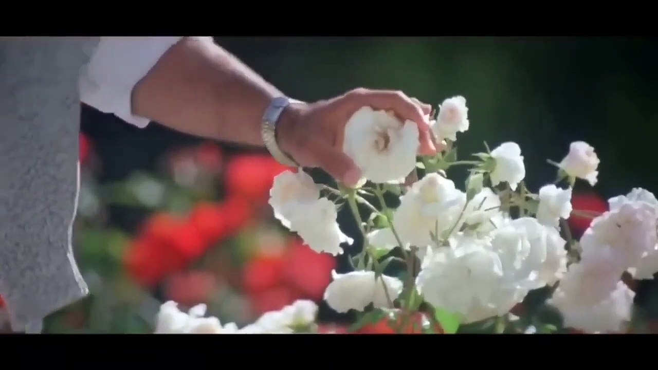 Dil Ne Yeh Kaha Hai Dil Se _ ️90s Jhankar️ _ Dhadkan 2000 _ Alka Yagnik, Kum_HD