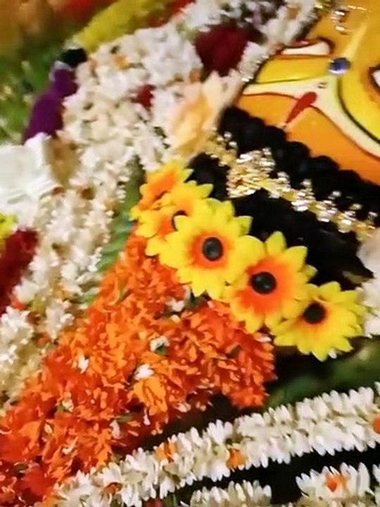 नवरात्र पर्व: श्री श्री सोलापुरी माता पूजा समिति का भव्य आयोजन