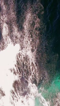 Amazing Breaching Humpback Whale