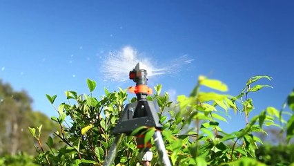 12 Cool Garden Inventions And Gadgets You Didn't Know About