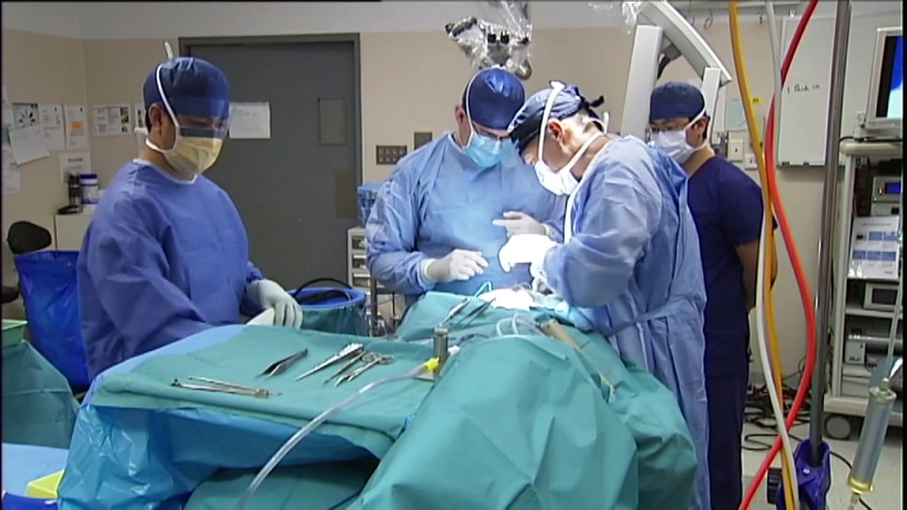 Charlie Teo hearing hears bid to extend restrictions on neurosurgeon's medical licence