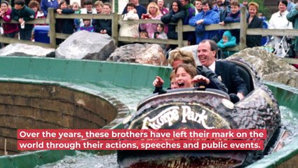 Prince Harry & Prince William's Most Memorable Moments Together