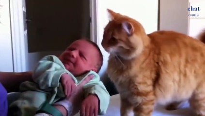 ce chat qui aime les bébés