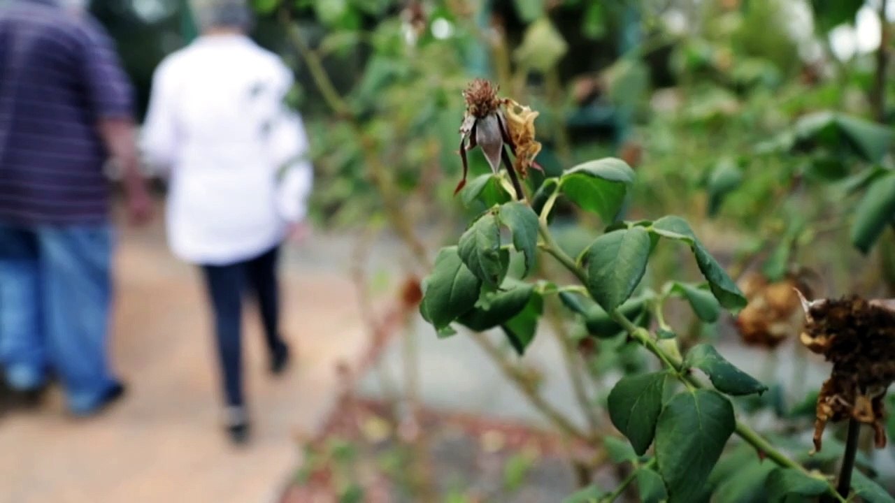 Public Trustee leaves pensioner without money for food and takes 40 per cent of his income