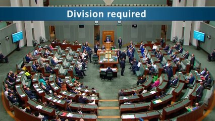 Liberal MPs leave the House