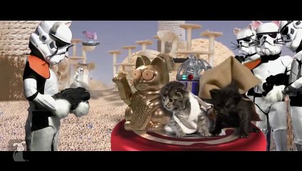 Star Wars Parody - Paw Warz - Not the Toiz you're looking for - Petody