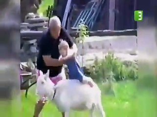 Diary of a Mad Noob Tuber Chapter 5 (Funny Angry Kids Death Reactions)