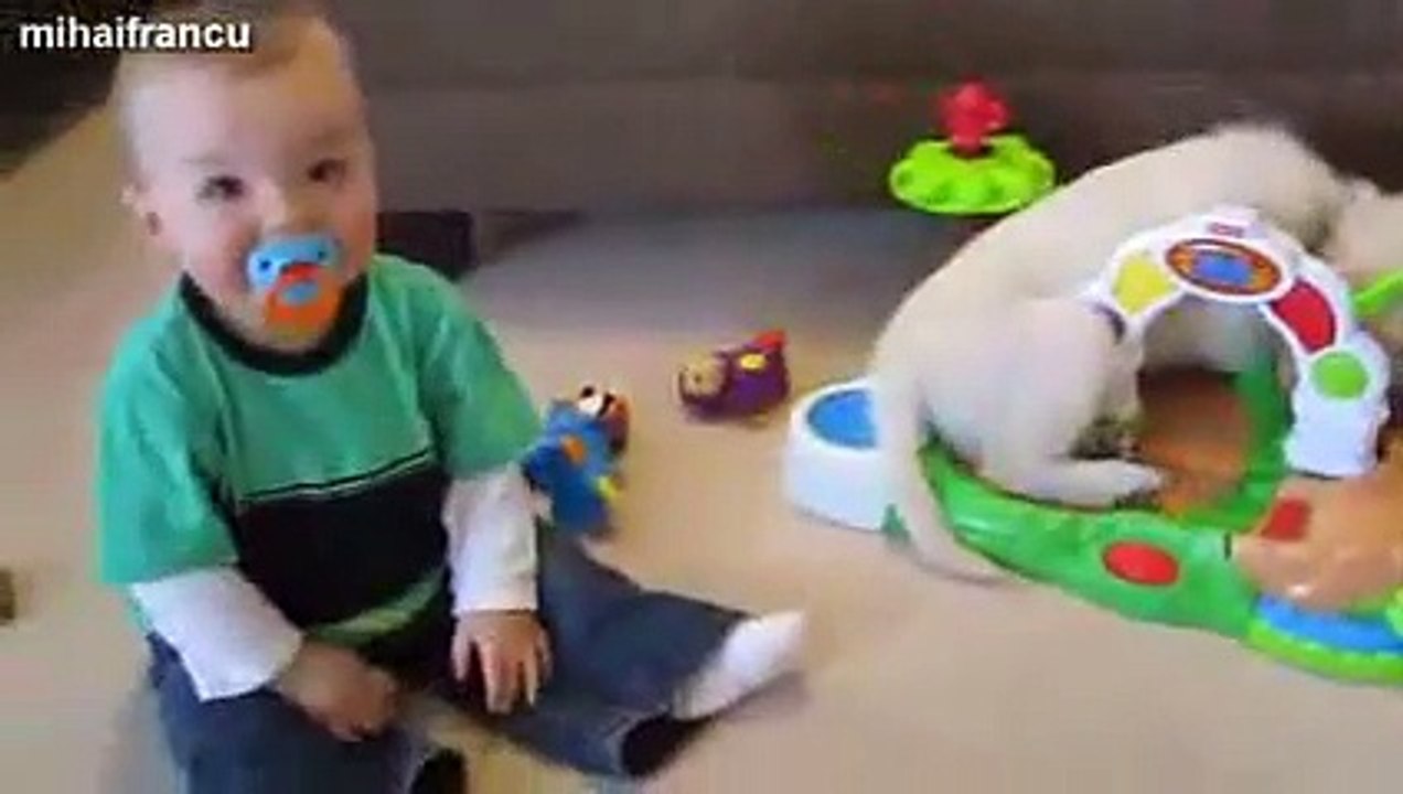 Kittens And Puppies Playing With Babies Compilation Vidéo Dailymotion