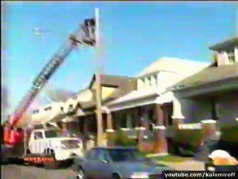 Epic Funny Cats Jump Fail Compilation. Cats Jumping and Falling 2015