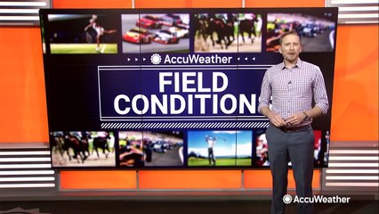 Your sports forecast for the official start of baseball season