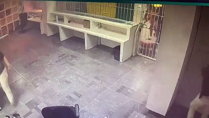 Vídeo mostra guardas a afastarem-se durante incêndio no México