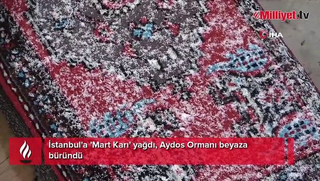 İstanbul'a 'Mart Karı' yağdı, Aydos Ormanı beyaza büründü