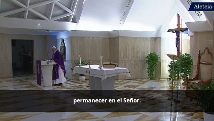 Papa Francisco: Permanecer en el Señor