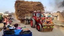 Powerful Tractors are pulling trailers in turns - Belarus Tractor are emitting a lot of smoke