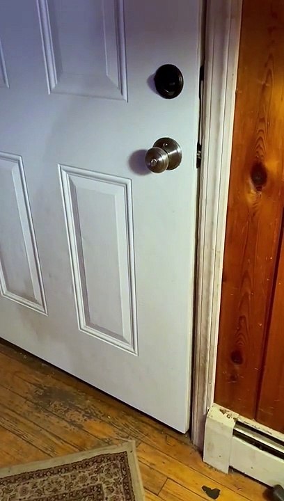 Polite Bear Closes Door On His Way Out