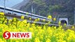 Picturesque Guilin dotted with flowers and high-speed trains