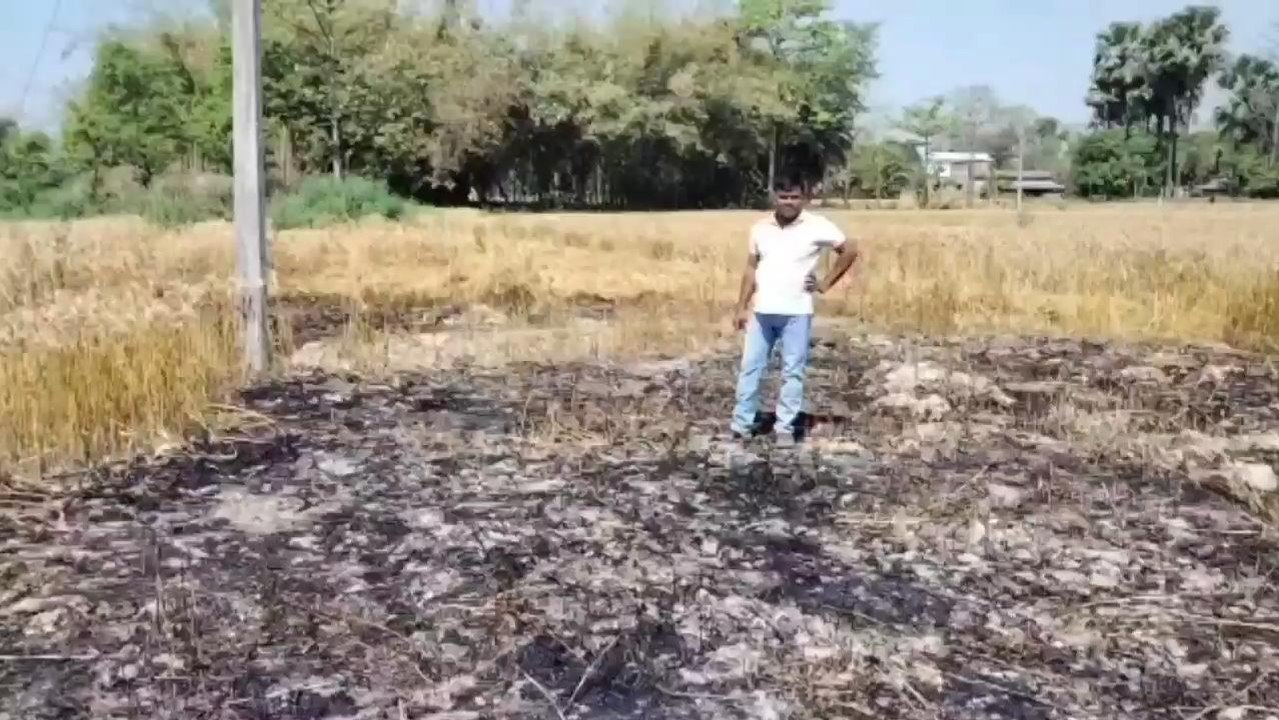 वैशाली: बिजली की शॉट सर्किट से खेत में लगे गेहूं की फसल में लगी आग, किसान परेशान