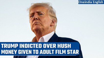 Скачать видео: Donald Trump indicted by grand jury over hush money; calls it ‘political persecution’ |Oneindia News