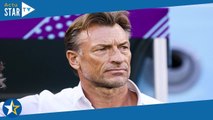 Hervé Renard : qui est sa compagne Viviane Dièye ?