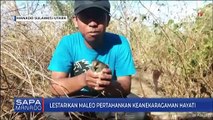 Lestarikan Burung Maleo Pertahankan Keanekaragaman Hayati