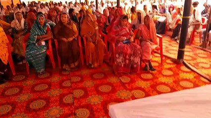 दौसा. लाभार्थी उत्सव थीम पर मनाया राजस्थान दिवस