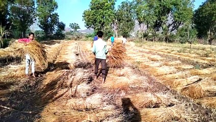 बूंदाबांदी ने किसानों की बढ़ाई चिंता