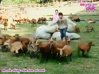 Tập 15 - Hoa oải hương | Lavender (Phim Đài Loan xưa)