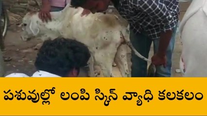 పశ్చిమ గోదావరి: వణికిస్తున్న కొత్త వైరస్... చర్యలు తీసుకోక తప్పదు