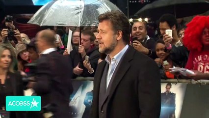 Russell Crowe's Beloved Dog Louis Dies In His Arms After Being Hit By Truck_ 'He(1)