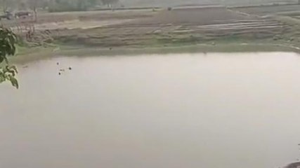 রাণীনগর: মাছ প্রাণ নিলো যুবকের !