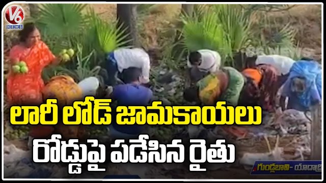 Farmer Throws Guava (Jamakaya) Fruits On Highway Due To Low Price _ Yadadri Bhuvanagiri _ V6 News