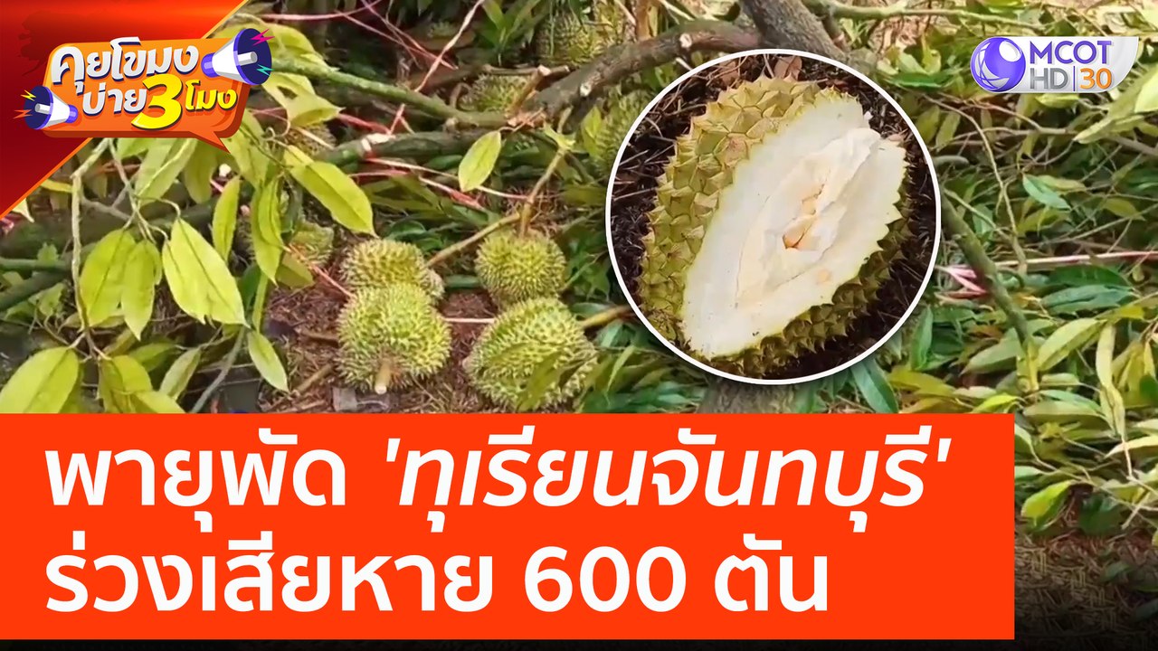 พายุพัด 'ทุเรียนจันทบุรี' ร่วงเสียหาย 600 ตัน (29 มี.ค. 66) คุยโขมงบ่าย 3 โมง