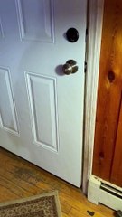 Polite Bear Closes Door On His Way Out