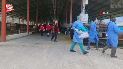 İzmir’de yem karma makinesine düşen Afgan işçi öldü