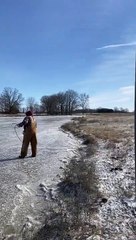 Rescuing a Calf on Ice