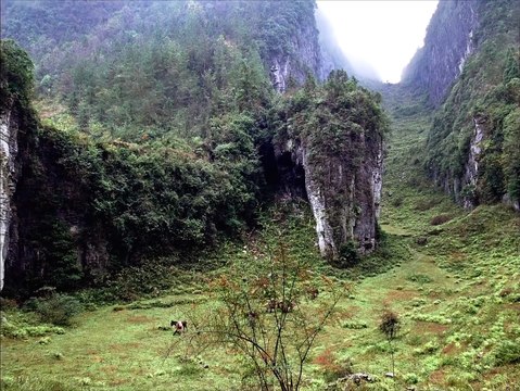 THE ASSASSIN de Hou Hsiao-Hsien - Bande-annonce HD - Ad Vitam
