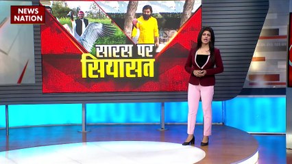 Uttar Pradesh : UP में शुरू हुई सारस पर सियासत