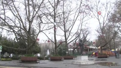 Mart kapıdan baktırdı, baharı bekleyen Ankara'ya kış geri geldi