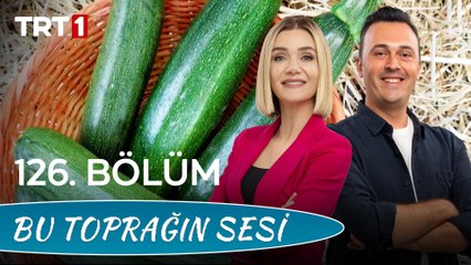 Bu Toprağın Sesi 126. Bölüm – Sakız Kabağının Tarsus'tan Yurtdışına Macerası