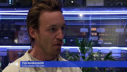 Almôndega de mamute